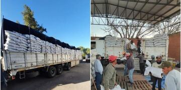 Exportación de nueces\u002E