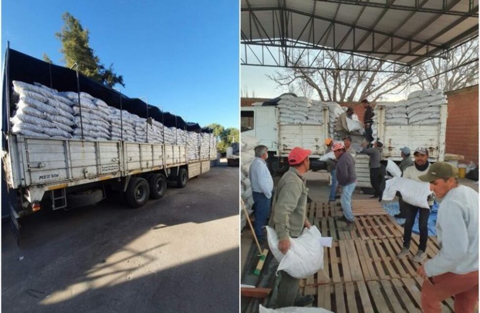 Exportaron nueces de Pozo de Piedra a Italia