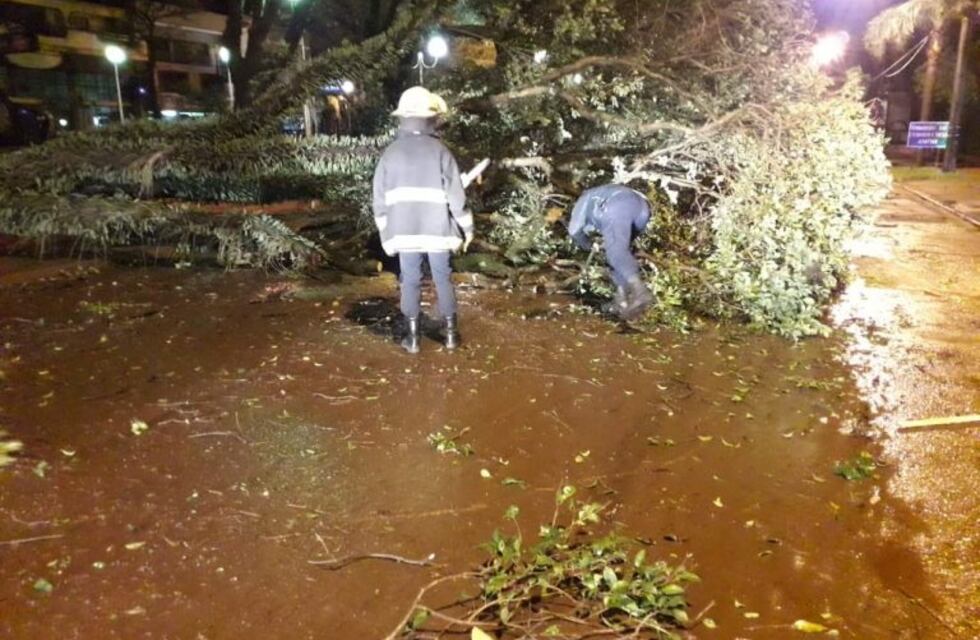 La Policía asistió a damnificados por voladura de techos y caída de postes