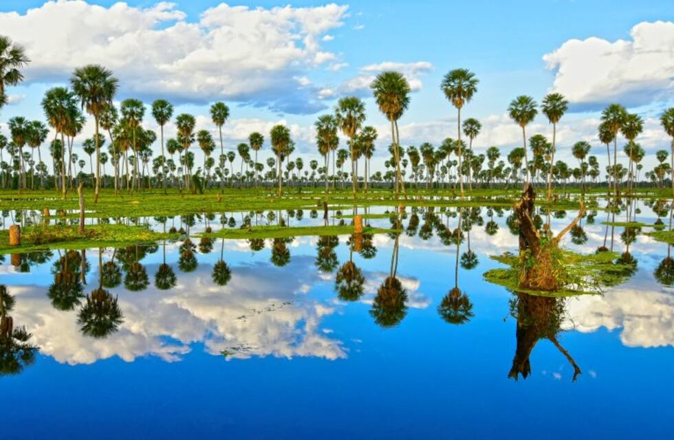 Desde el 20 al 28 de julio hay visitas coordinadas al Bañado La Estrella