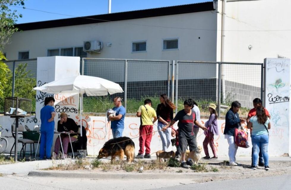 Trelew: más de 2.300 perros desparasitados en tres semanas