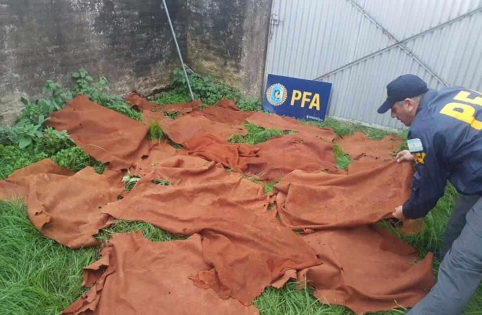 Detuvieron a un hombre que vendía aves exóticas en San Luis