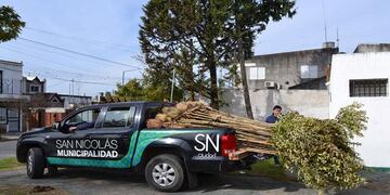 El año pasado se entregaron más de 1500 ejemplares\u002E (Archivo)