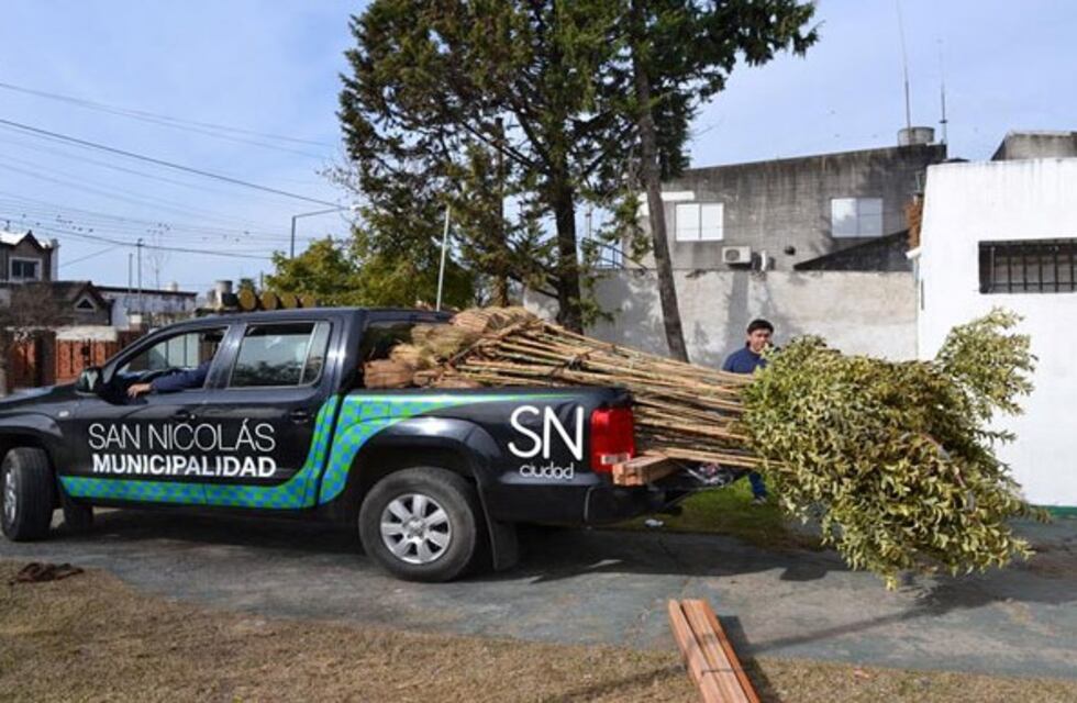 El Municipio arrancó con la entrega de árboles en zona sur