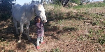 Caballo recuperado\u002E