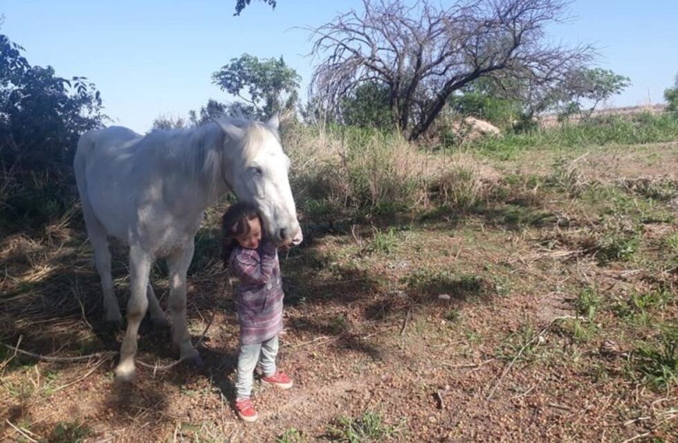 Recuperaron al caballo "Lobito" y la niña Muriel está feliz