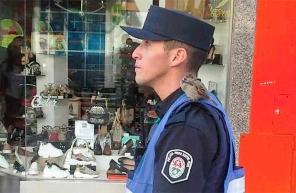 Un policía alimentó a un gorrión y sus superiores lo sancionaron