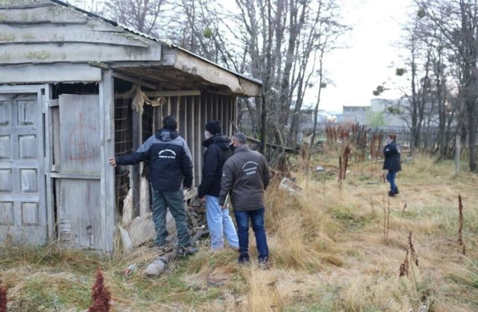 Vecinos reclamaron la invasión de roedores en diferentes lotes de Tolhuin