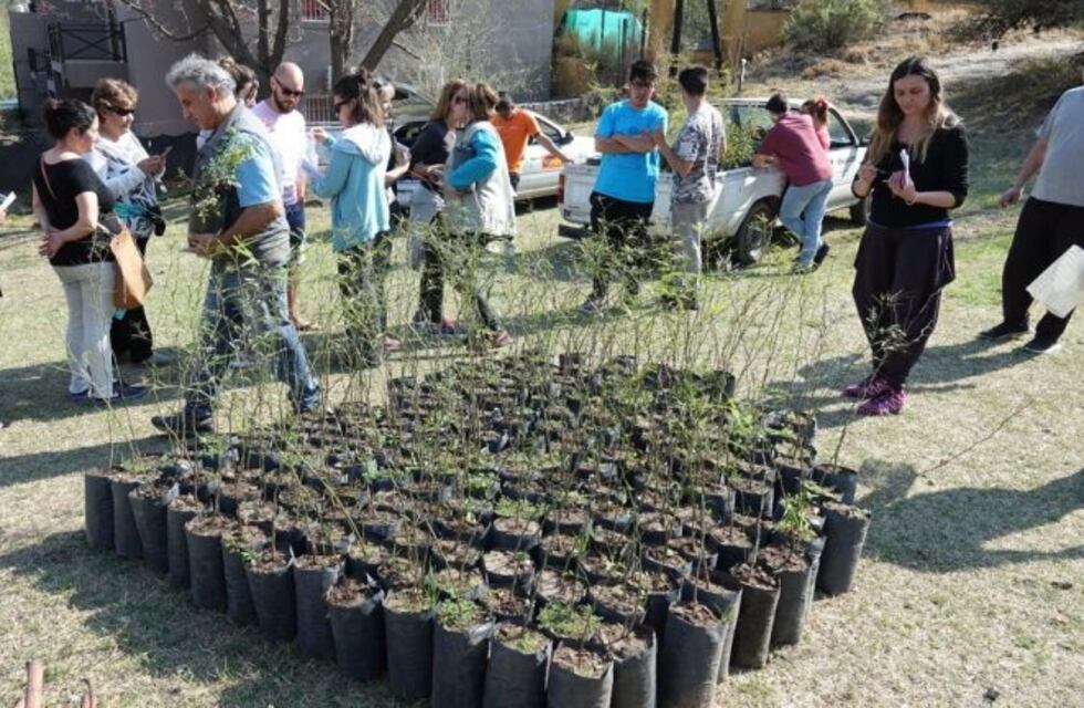Se viene una nueva jornada de plantación de nativas en Carlos Paz