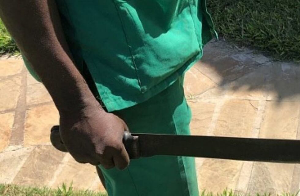 Intentó robarle a un vecino y lo amenazó con un machete