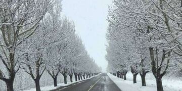 El invierno llegó con mucho frío y nieve. Imagen de archivo.