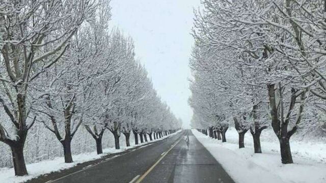 Frío y nieve es lo que anticipa el pronóstico del SMN para el lunes en el sur mendocino.