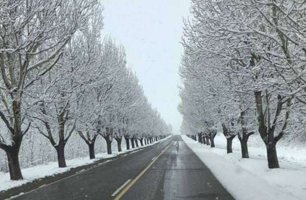 Mucha precaución: así están las rutas provinciales en el sur mendocino