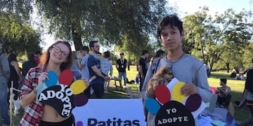 Las castraciones de mascotas, en la visión de Patitas de Perro\u002E