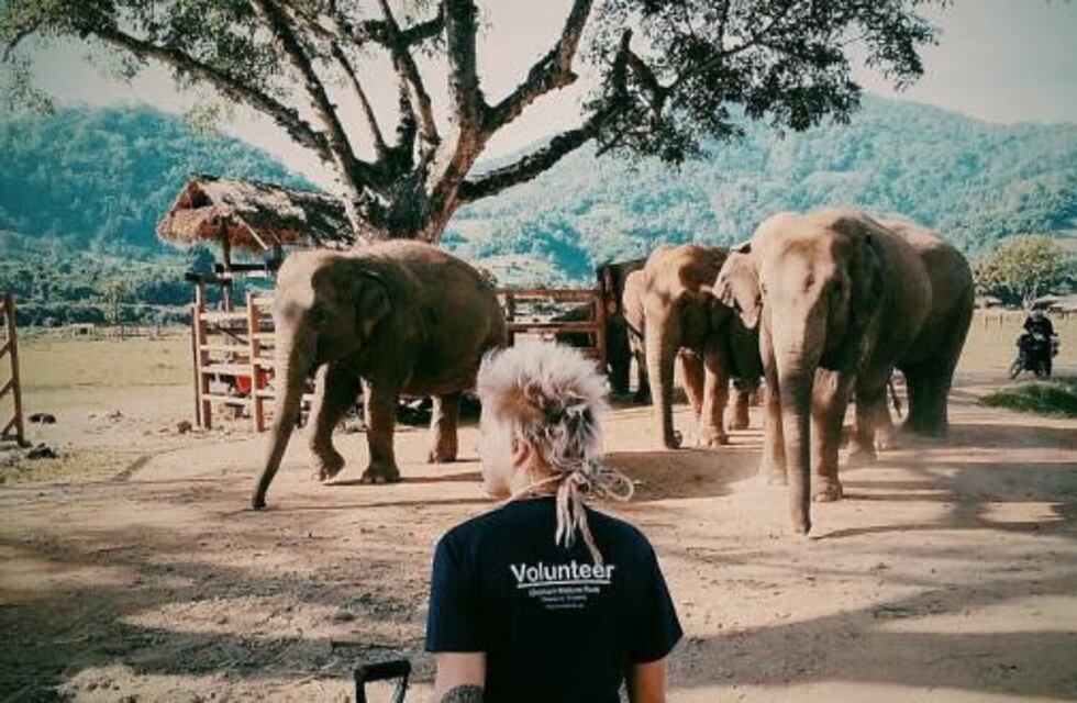 Ser voluntario en un refugio de elefantes se convirtió en nuestra nueva forma favorita de viajar