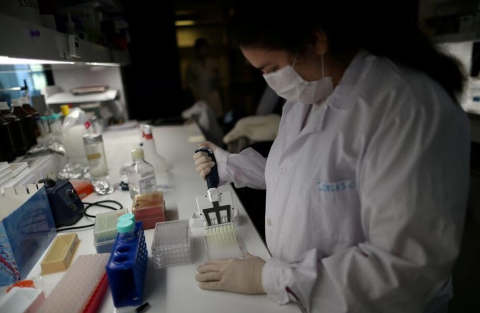 Coronavirus en Argentina: nuevo récord diario de contagios con 1958 casos en las últimas 24 horas