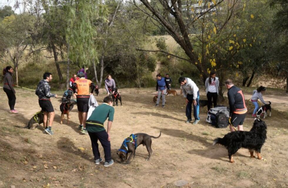 Qué es el canicross y dónde se practica en Córdoba