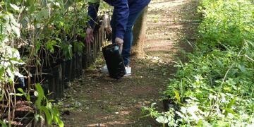 Vivero municipal de Posadas