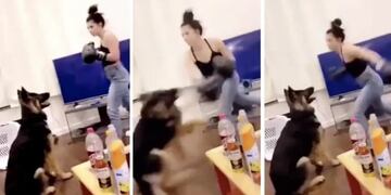Mujer practica boxeo con su perro (Foto: Clarin)