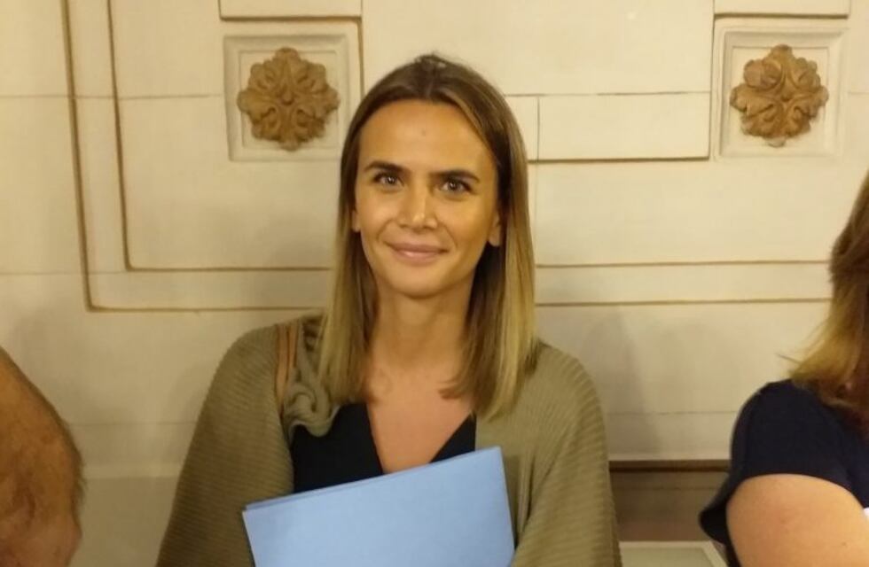 Granata en acuerdo con el resto de lo bloques impulsa que los diputados se congelen la dieta