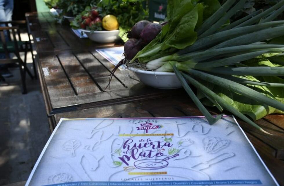 Con la primera entrega de verduras, comenzaron a salir los primeros menús huerteros