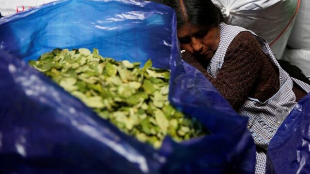 Imagen ilustrativa\u002E EFE/Rodrigo Sura