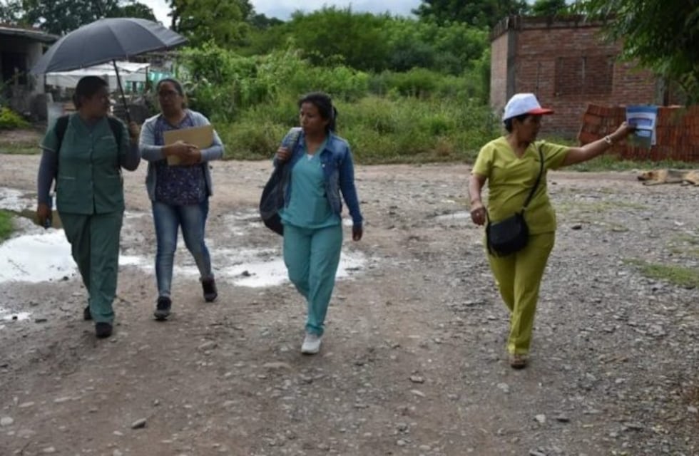 Autoridades confirmaron seis nuevos casos de dengue en Jujuy