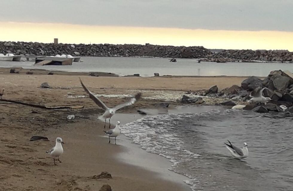Clima en Ansenuza: mucho calor con tormentas por la tarde o noche