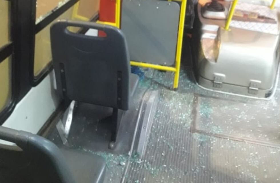 Atacaron a colectivo urbano cerca del Jardín Botánico