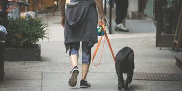 No hay paseos, sólo salidas breves y a escasa distancia\u002E Tomando precauciones\u002E