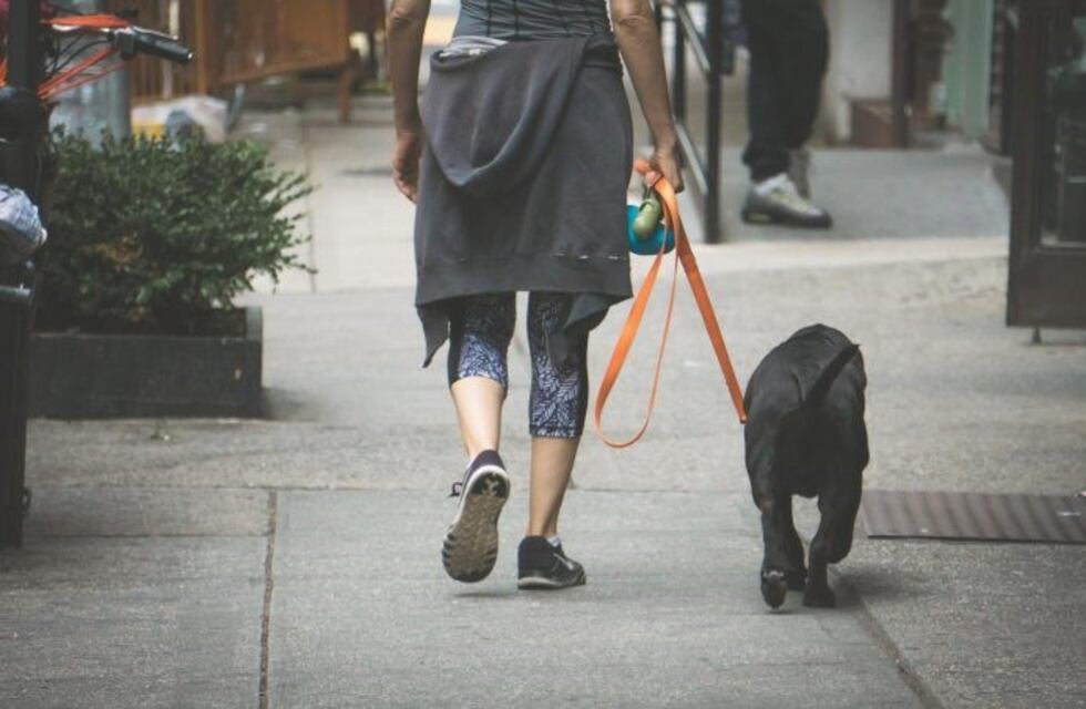 La Municipalidad de Córdoba insiste en los cuidados en las salidas con mascotas