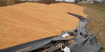 Vandalismo en el campo\u002E