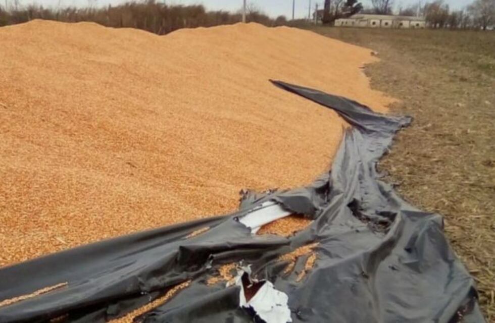 Vandalismo en el campo: Córdoba crea una comisión de seguimiento sobre seguridad rural