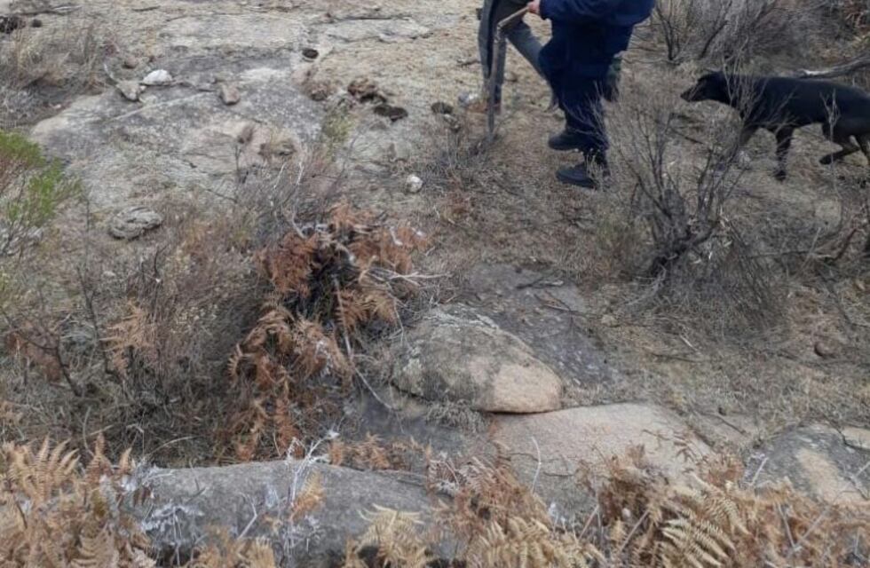 Causo un incendio y fue detenido