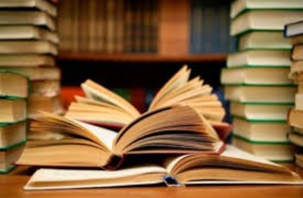 Anisacate: "Biblioteca e Historieta" un curso con puntaje docente