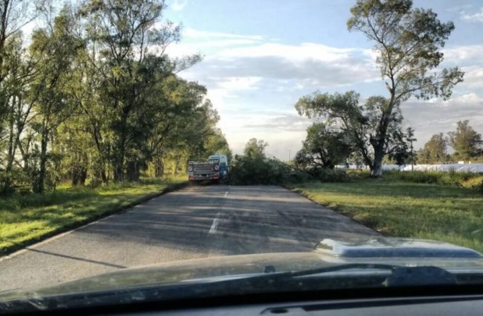 Huinca Renancó, con destrozos y cortes por fuertes vientos