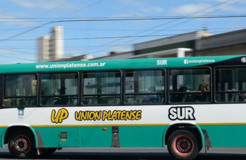 Un colectivero bajó en brazos a un chico en silla de ruedas y conmovió a todos