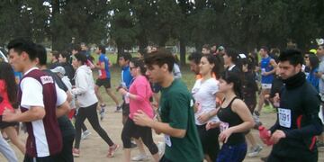 ¿Vas a ir a la maratón?