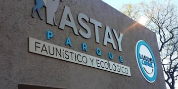 Brizuela y Doria firma Decreto para el traslado de dos búfalos y un yacaré