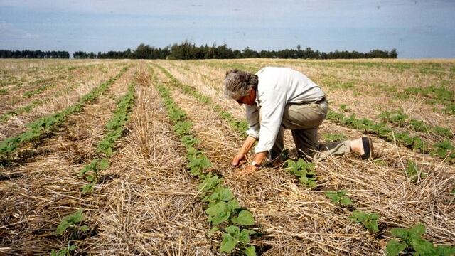 Gaston Fernandez Palma en su campo de Necochea