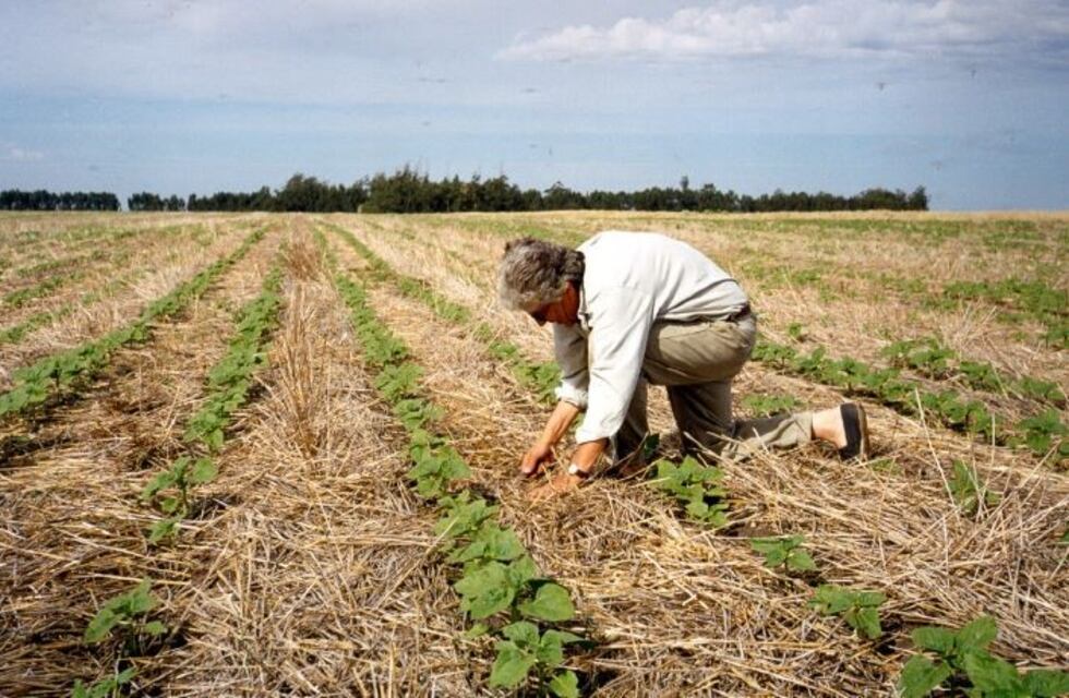 Fernández Palma: Quedarse con el título de la Siembra Directa ya no alcanza