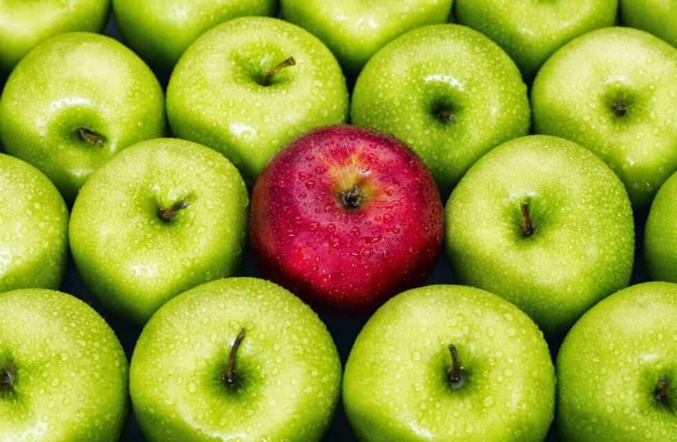 La importancia de ser tolerante con los demás