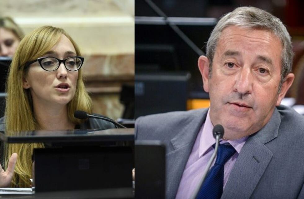 Fernández Sagasti y Julio Cobos, unidos por la Ley de Etiquetado
