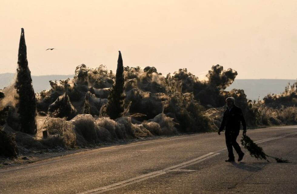 Una playa de Grecia apareció cubierta por una telaraña gigante