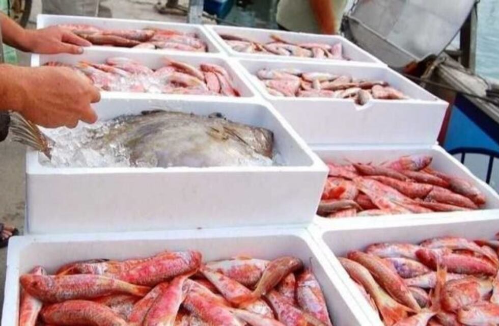 Pescaderias acuerdan ventas con 50 % de descuento