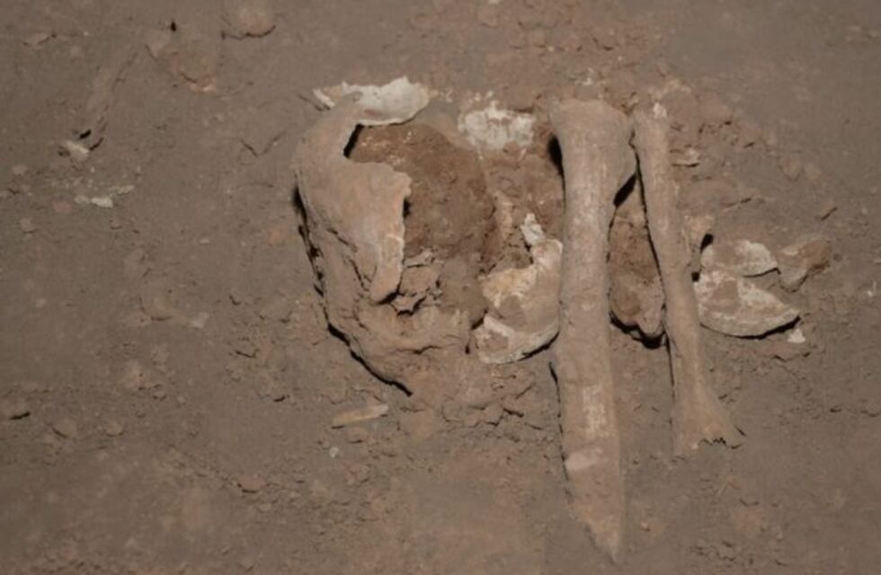 La familia Tellechea pidió intervenir en la causa que investiga el hallazgo de restos óseos