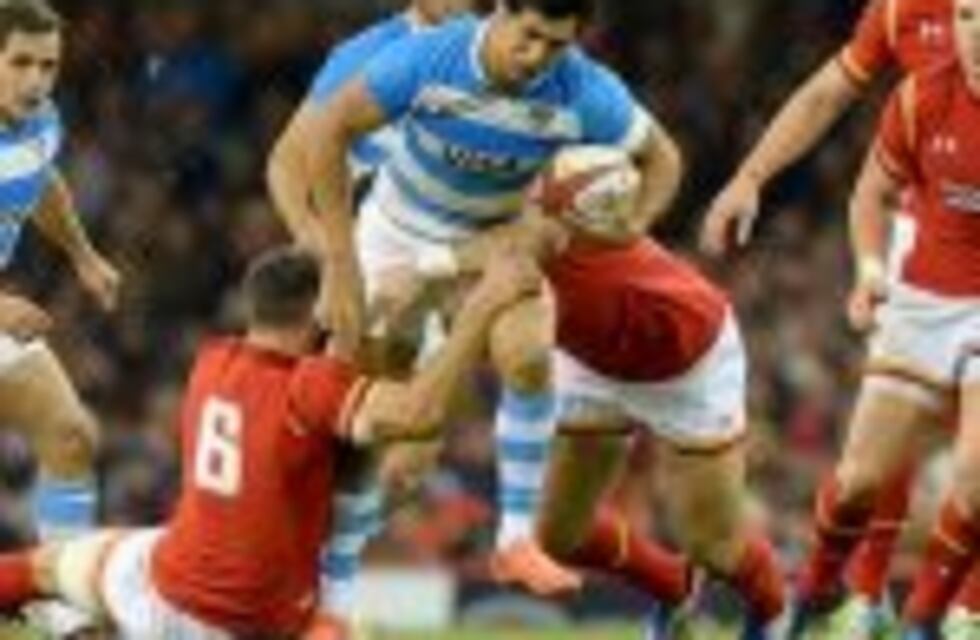 Los Pumas perdieron dos lugares en el ranking de World Rugby