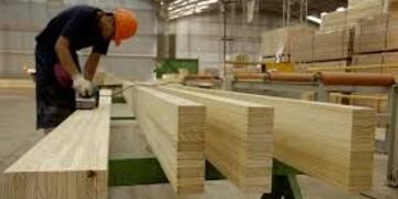 Misiones y Santa Catarina planean la integración de la Industria maderera\u002E (WEB)