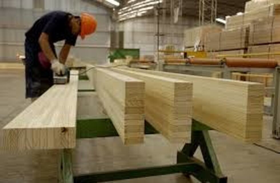 Alberto Fernández anticipó la continuidad de la Mesa Forestal en apoyo a las Pymes