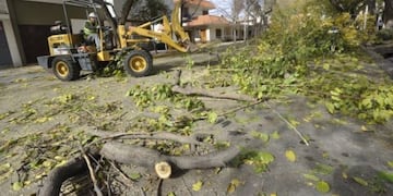 Inicia la poda anual en la Ciudad de Mendoza\u002E